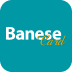 Logo da bandeira banesecard